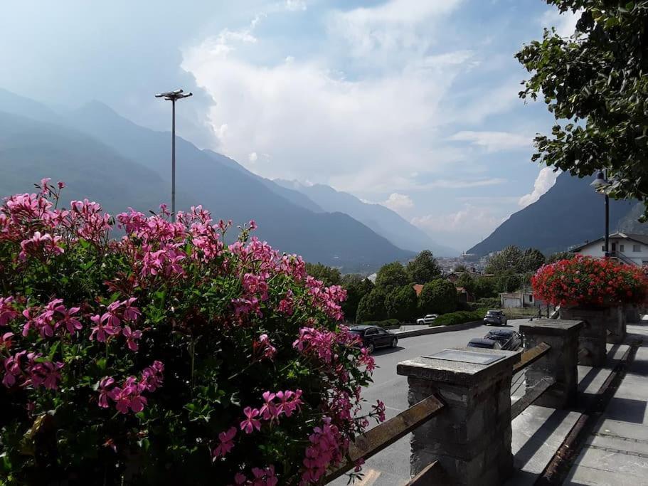 Le Jasmin Da Marina Daire Saint-Vincent Dış mekan fotoğraf